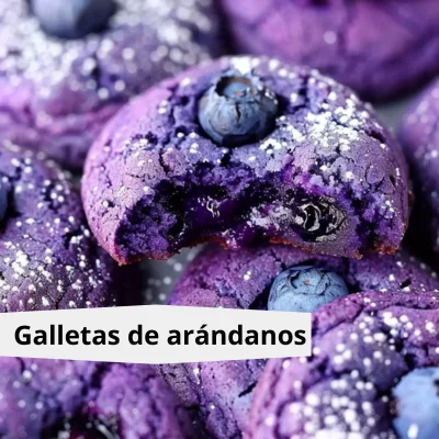 galleta 3 arandanos (1)